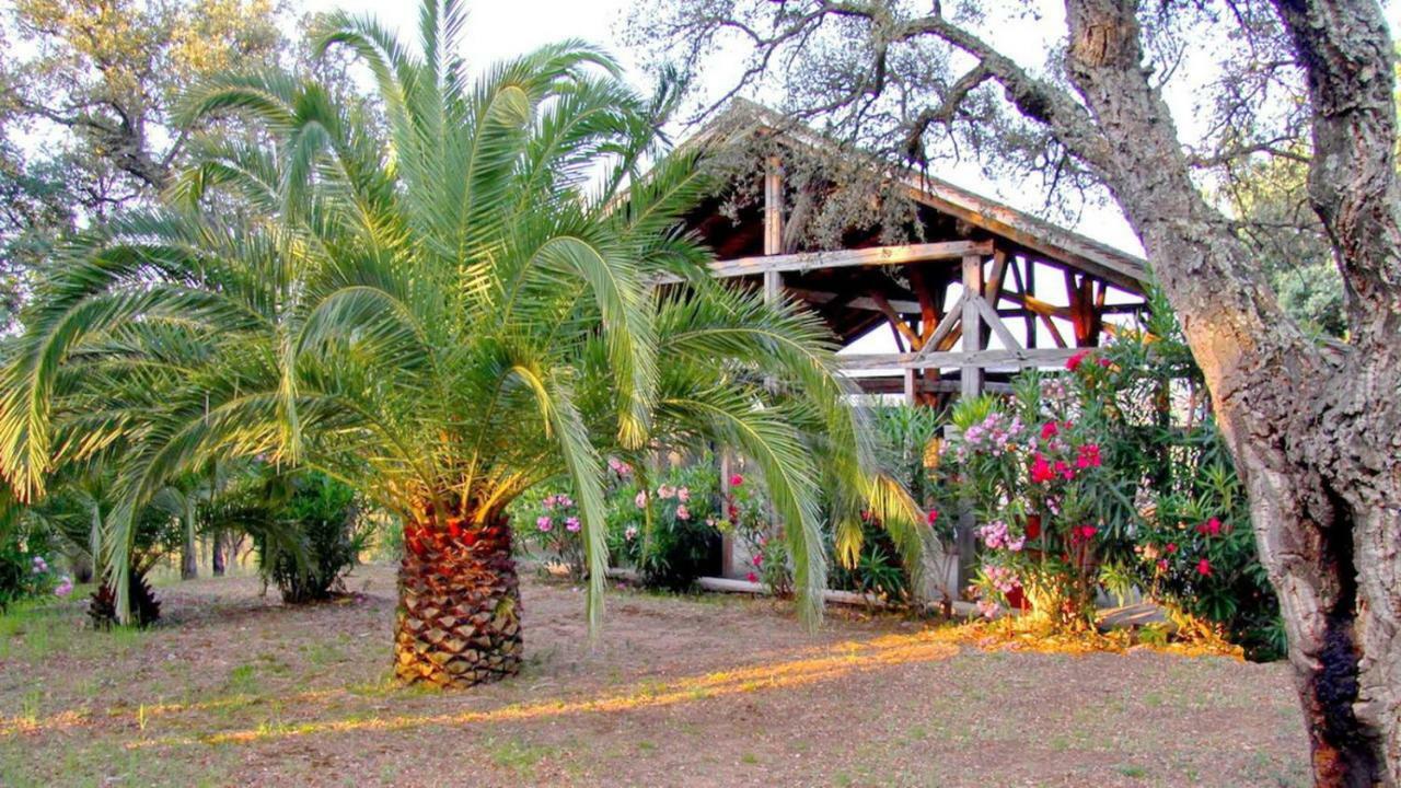 Happy Trimurti Hotel Cogolin Esterno foto